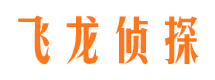 蒲县市调查公司